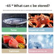 Minus 80 Ultra-Low Temperature Freezer Refrigerator Subzero 60 Degrees Household Freezer Commercial Fresh-Keeping Cabinet