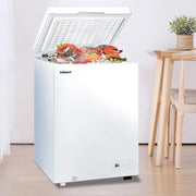 BD(C)-100 Commercial Large Capacity Ultra-low Temperature Freezer 100L Quick Freezer 200W Direct Cooling Freezer Household