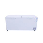 Two-Door Commercial Freezer - High-Capacity Energy-Efficient Design for Restaurant & Bulk Food Storage