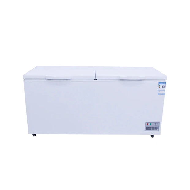 Two-Door Commercial Freezer - High-Capacity Energy-Efficient Design for Restaurant & Bulk Food Storage