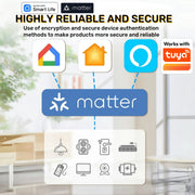 Matter WiFi Mini Smart Socket 10A US Timeing Wireless Voice Control Smart Life App Works With Tuya Homekit Alexa Google Home