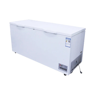Two-Door Commercial Freezer - High-Capacity Energy-Efficient Design for Restaurant & Bulk Food Storage