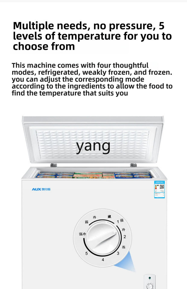 CX household and commercial large-capacity horizontal refrigerated and frozen energy-saving low-noise dual-temperature freezer